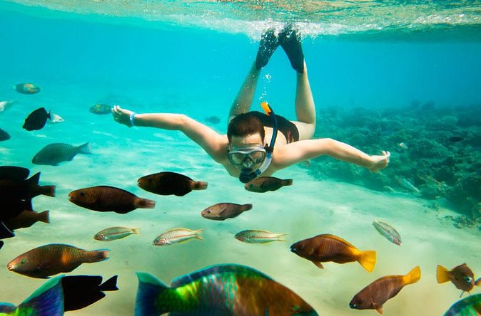 Cabo San Lucas Shopping, Tequila Tasting, and Snorkel Tour - Land’s End snorkeling: what to expect in open water