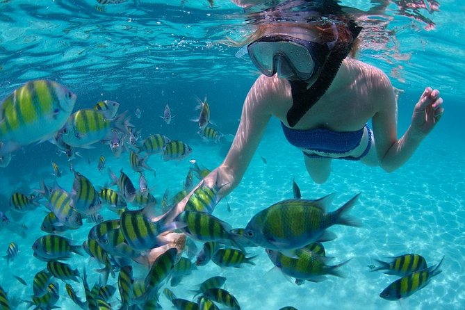 Cabo San Lucas Short Snorkeling Tour with Divemaster Guide - The 2-hour flow: boat ride, calm water snorkeling, then Lands End sightseeing