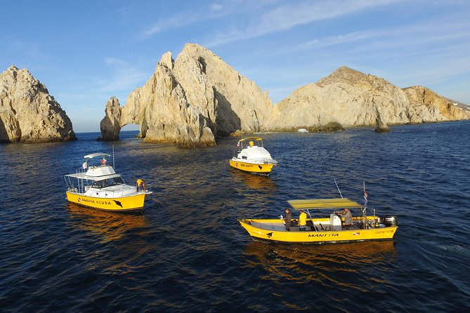 Cabo San Lucas Short Snorkeling Tour with Divemaster Guide - Pelican Rock, buoyed zones, and why you’ll feel close to fish
