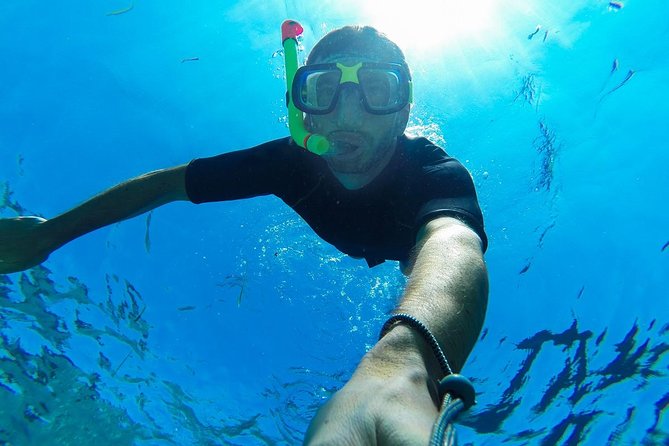 Cabo San Lucas Short Snorkeling Tour with Divemaster Guide - Meeting at Blvd. Paseo de la Marina 7D: easy if you arrive prepared