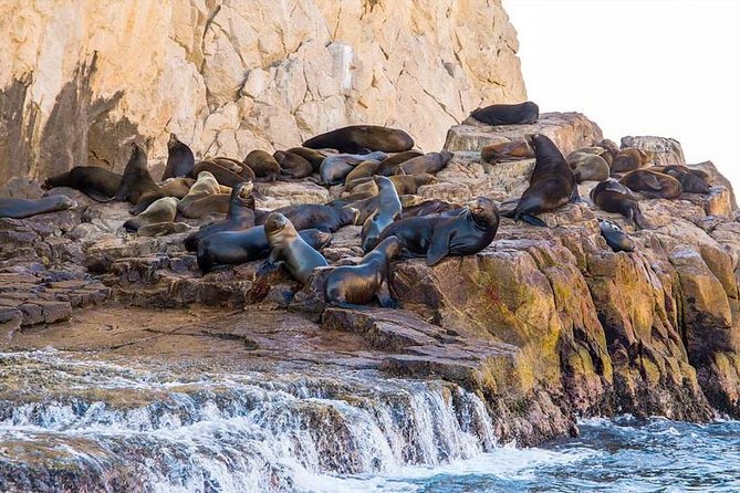 Cabo San Lucas sightseeing and Famous Arch tour - Downtown Time, Shopping, and the Cabo Vibe