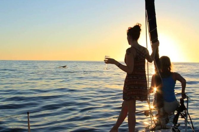 Cabo San Lucas Sunset Sailing Shared Cruise - How bumpy can it get, and what to pack