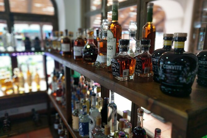 Cabo San Lucas Tequila Tasting Experience - The snack pairings that change your tasting game