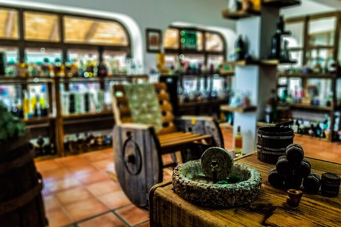 Cabo San Lucas Tequila Tasting Experience - Where this fits in your Cabo day