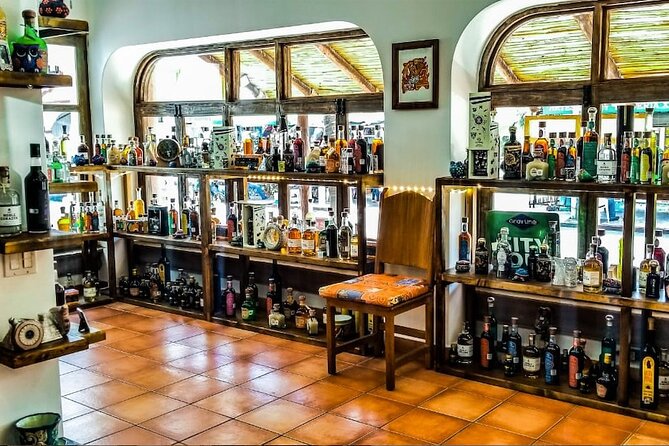 Cabo San Lucas Tequila Tasting Experience - Nine handmade samples: what tequila and mezcal teach you
