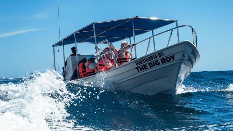 Cabo San Lucas: Tour paseo al Arco + bajada en playa - Cabo San Lucas in One Hour, From Pochos Cabos Activities to the Arch
