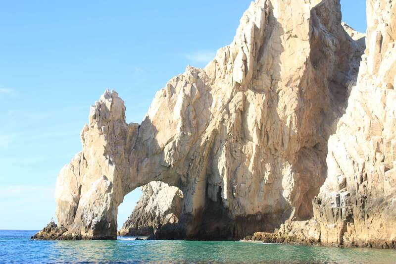 Cabo San Lucas: Up-Close Whale Watching Small-Group Tour - Why a Small-Group Zodiac Boat Changes the Whale-Watching Game