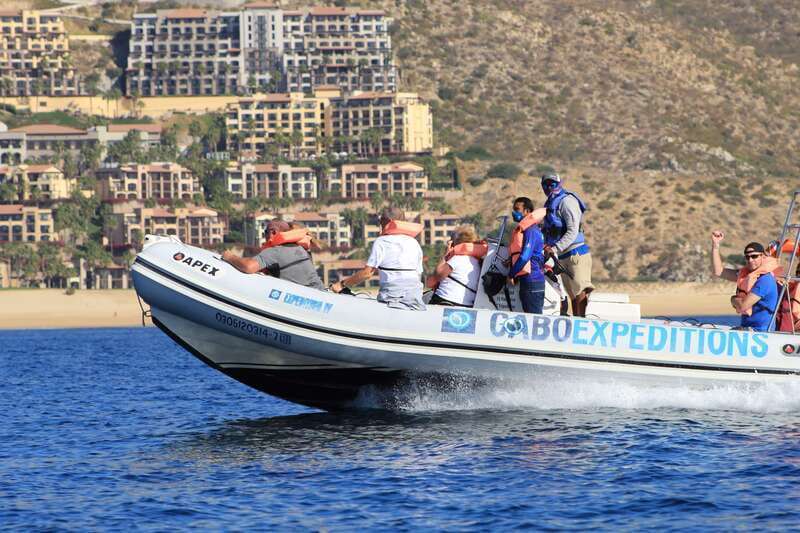 Cabo San Lucas: Up-Close Whale Watching Small-Group Tour - La Terminal de Cabo Marina: Where Your Whale Adventure Actually Starts