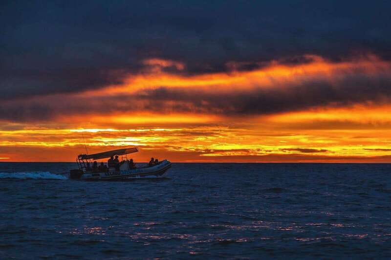 Cabo San Lucas: Up-Close Whale Watching Small-Group Tour - Small Details That Make the Ride Worth It