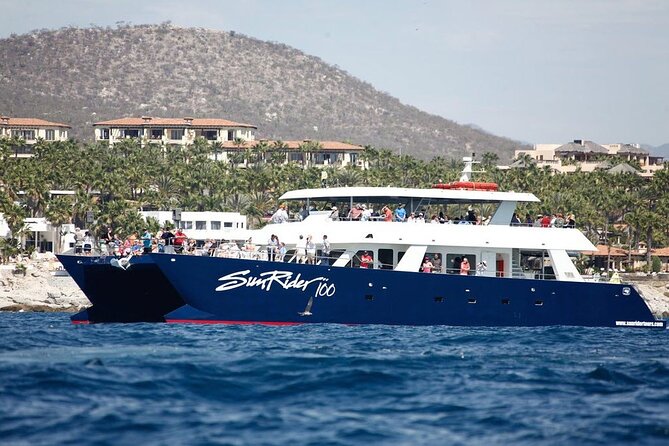 Cabo San Lucas Whale Watching Lunch Cruise - Boarding at Marina, Finding Your Spot, and Getting Comfortable