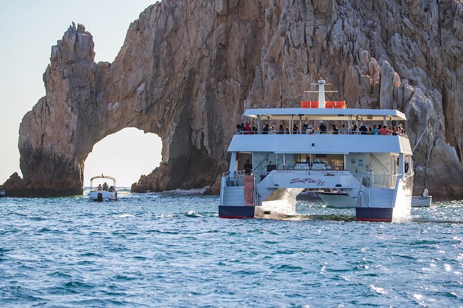 Cabo San Lucas Whale Watching Lunch Cruise - Value Check: Is $115 Worth It?
