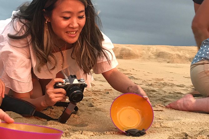 Cabo Turtle Release - A Sunset Turtle Release in Cabo San Lucas That Feels Like Real Conservation