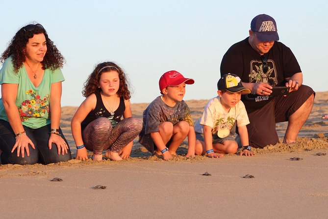 Cabo Turtle Release - Meet Your Guides and Get Answers Before You Release Anything