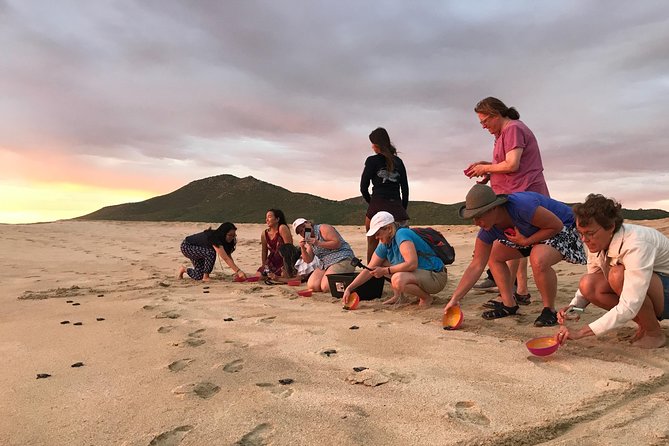 Cabo Turtle Release - Comfort, What’s Included, and What You Should Bring