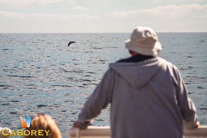 Cabo Whale Watch Three-Level Vessel and Majestic Arch - Key Highlights That Make This Cabo Cruise Worth Your Time