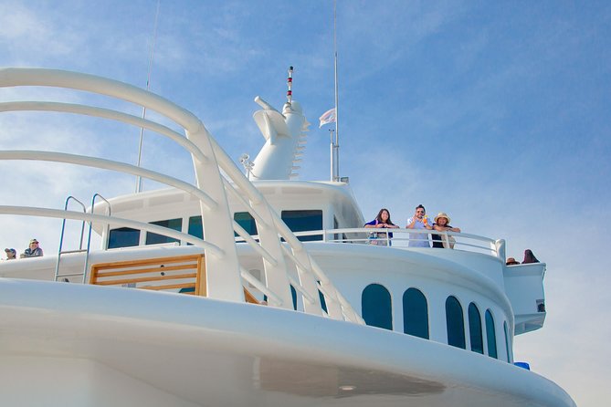 Cabo Whale Watch Three-Level Vessel and Majestic Arch - Caborey Cruises the Sea-Meets-Desert Tip Coast