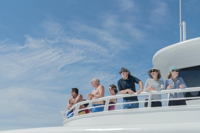 Cabo Whale Watch Three-Level Vessel and Majestic Arch - Price and Value at $95, Plus the Small Dock Fee