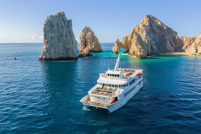 Cabo Whale Watch Three-Level Vessel and Majestic Arch - Breakfast Buffet and Open Bar: The Real Morning Starter