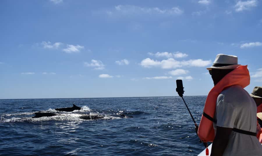Cabo: Whale-Whatching Boat Trip w/ All-Women Crew and Photos - Should You Book Cabo Nature Whale Watching?