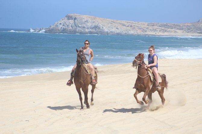 Cabo White Sand Horseback Riding Tour and Tequila Tasting - Key points worth knowing before you go