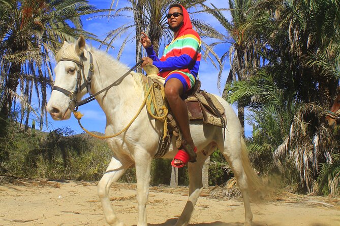 Cabo White Sand Horseback Riding Tour and Tequila Tasting - Pace and riding time: all levels welcome, but plan for variability