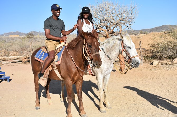 Cabo White Sand Horseback Riding Tour and Tequila Tasting - Transportation reality: pickup works, but roads and timing can vary