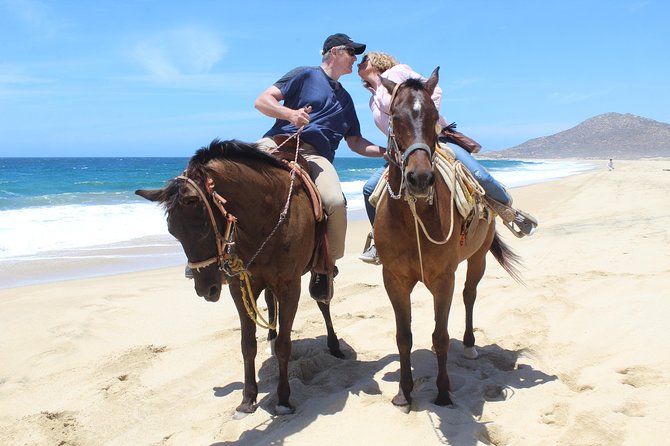 Cabo White Sand Horseback Riding Tour and Tequila Tasting - The beach leg: ocean views, wildlife from shore, and a calmer pace