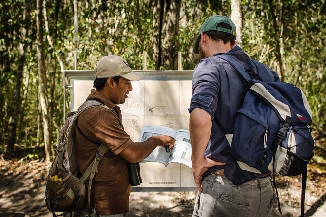 Calakmul Ancient Maya City Tour From Xpujil - Key points before you go