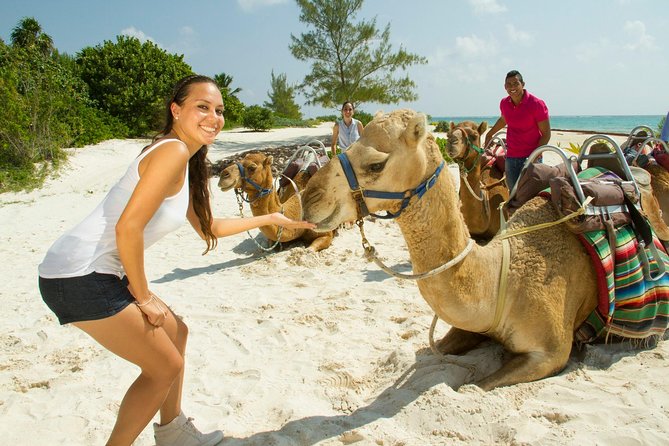 Camel Expedition and Beach Club In Riviera Maya - Guides, group size, and safety details that matter in the heat
