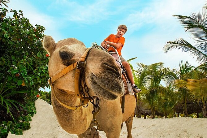 Camel Expedition and Beach Club In Riviera Maya - Price and value, is $144 worth it once photos are added