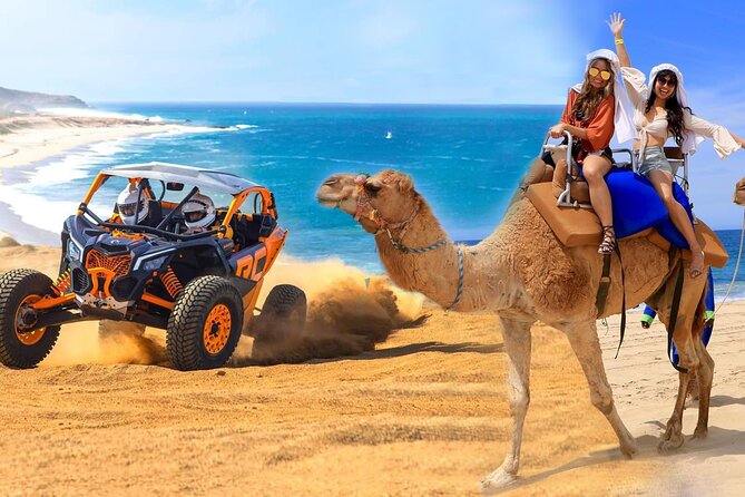 Camel Ride and UTV Combo Adventure, with Tequila Tasting - Key things that make this tour worth your attention
