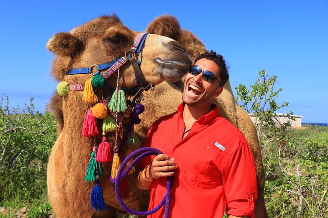 Camel Ride and UTV Combo Adventure, with Tequila Tasting - Sand dunes and ocean cliffs, where the views get wild