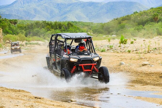 Camel Ride and UTV Combo Adventure, with Tequila Tasting - Price and extras, the math you should do before you book