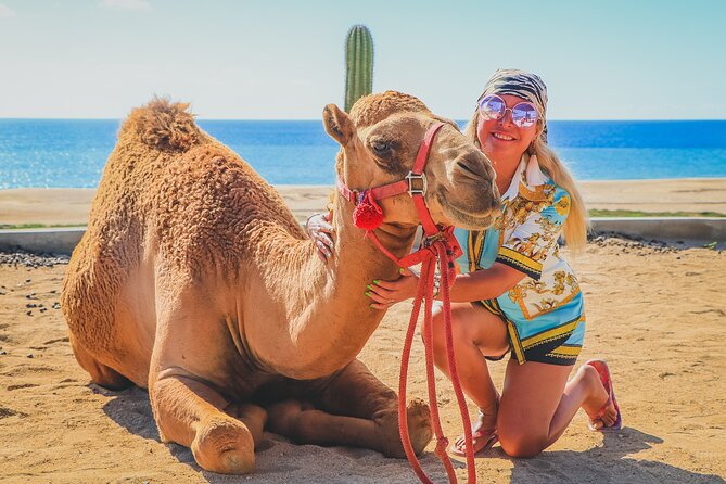 Camel Ride and UTV Combo Adventure, with Tequila Tasting - Transfers, meeting point, and how to avoid time sinks