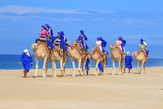 Camel Ride and UTV Combo Adventure, with Tequila Tasting - Guide power: names that came up for a reason