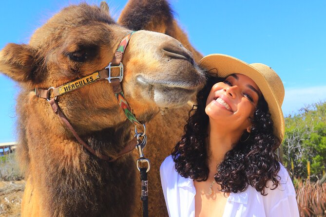 Camel Ride and UTV Combo Adventure, with Tequila Tasting - Camel ride on Playa Migríño, dunes, and Pacific views