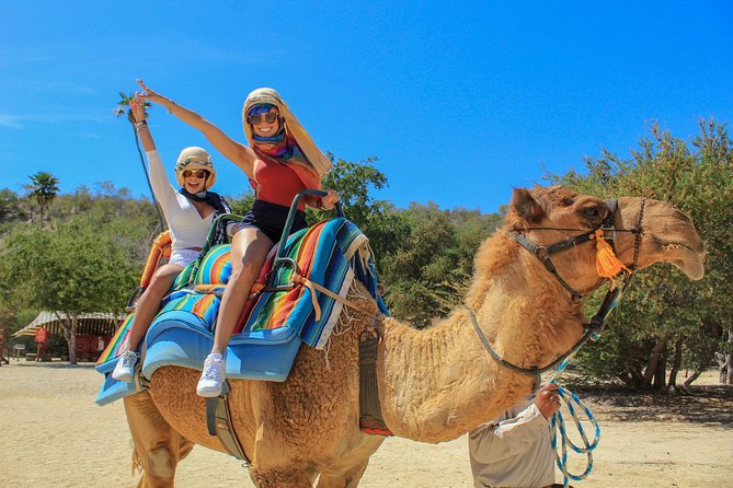 Camel Ride in the Canyon + Thrilling Water-Slides & Snacks - Key highlights worth knowing