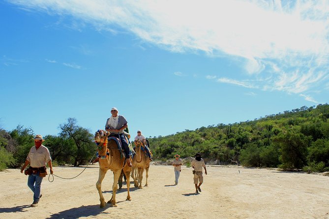 Camel Ride in the Canyon + Thrilling Water-Slides & Snacks - Water Park Time, Slides and Pool With Real Shade Options
