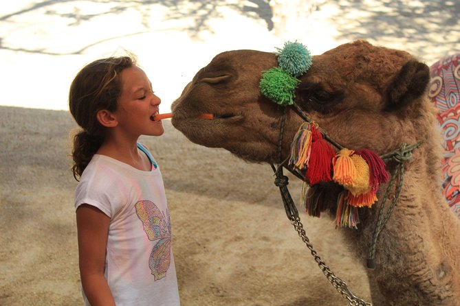 Camel Ride in the Canyon + Thrilling Water-Slides & Snacks - The Long Canyon Bridge Photo Stop, Plus Other Included Activities