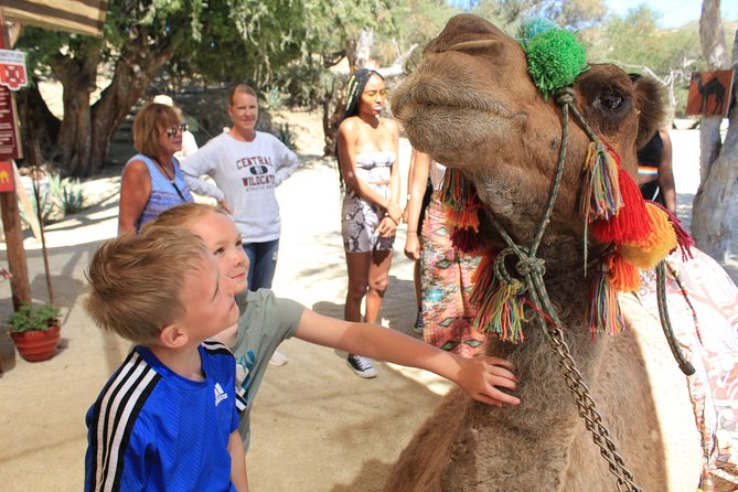 Camel Ride in the Canyon + Thrilling Water-Slides & Snacks - Timing, Group Size, and How the 4 Hours Usually Feels