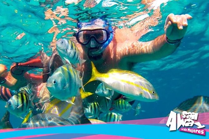 Cancun Adults Only Party Cruise to Isla Mujeres with Open Bar - Playa Langosta meeting point and the $20 dock fee reality