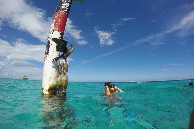 Cancun Adventure: Reef Snorkeling & Parasailing Experience - A Two-Activity Combo That Actually Saves Time at Punta Norte