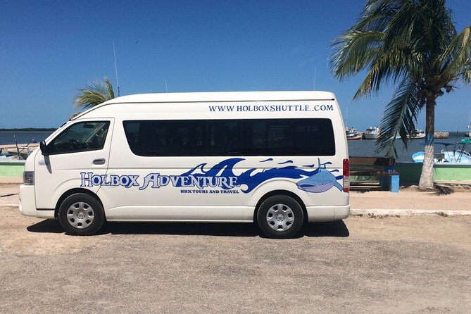 Cancun Airport to Holbox Transportation Private - Holbox hotel drop-off by golf cart taxi