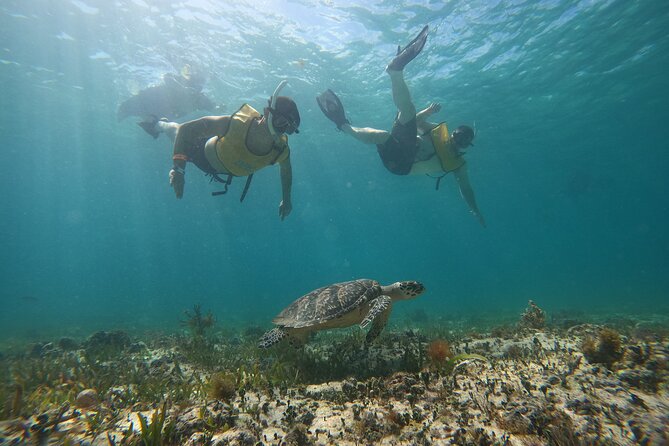 Cancun All Inclusive Catamaran Tour to Isla Mujeres - Key things that make this tour worth a look