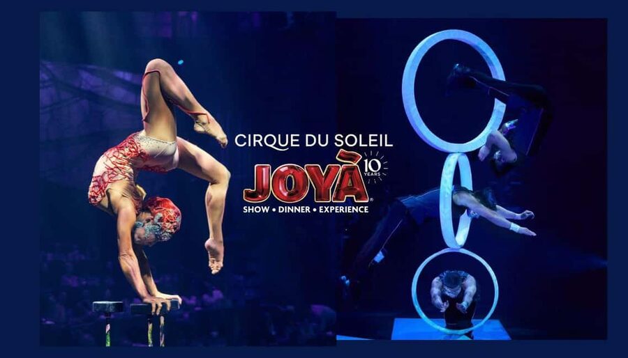 Cancún: Cirque du Soleil JOYÀ Show Ticket - The Story in Plain Terms: Joy, Courage, Friendship