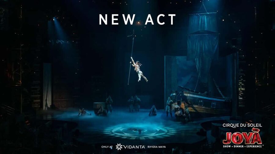 Cancún: Cirque du Soleil JOYÀ Show Ticket - Food Allergies and Dietary Needs
