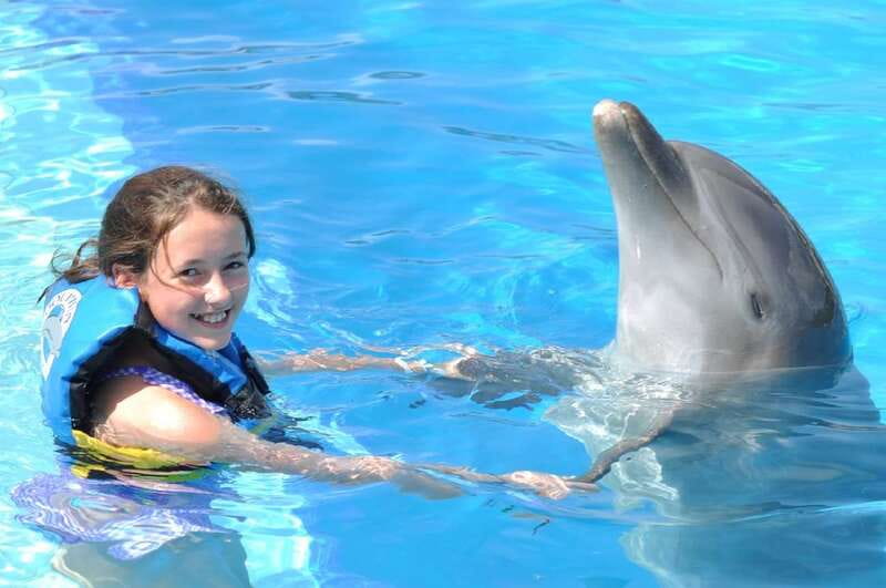 Cancún: Dolphin Encounter on Isla Mujeres with Buffet - Dolphin Discovery Isla Mujeres: what you do with the dolphins