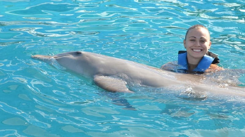 Cancún: Dolphin Encounter on Isla Mujeres with Buffet - Your full day on Isla Mujeres: encounter, lunch, pools, and downtime