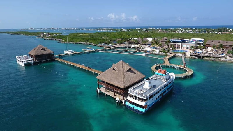 Cancún: Dolphin Encounter on Isla Mujeres with Buffet - Should you book this dolphin encounter from Cancún?