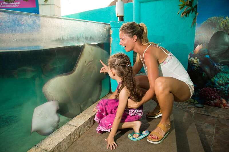 Cancún: Interactive Aquarium Admission - Key Highlights Worth Prioritizing
